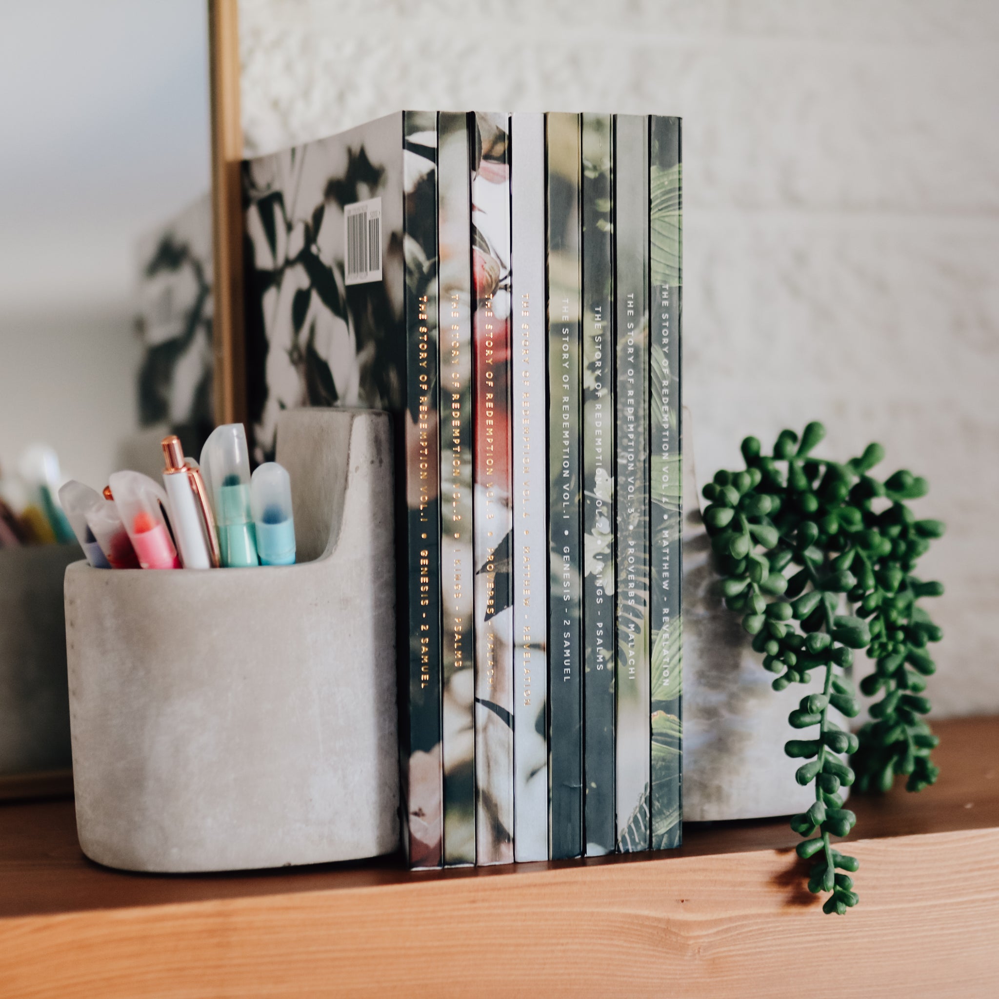 set of 8 Bible Studies on mantle with plant and pens