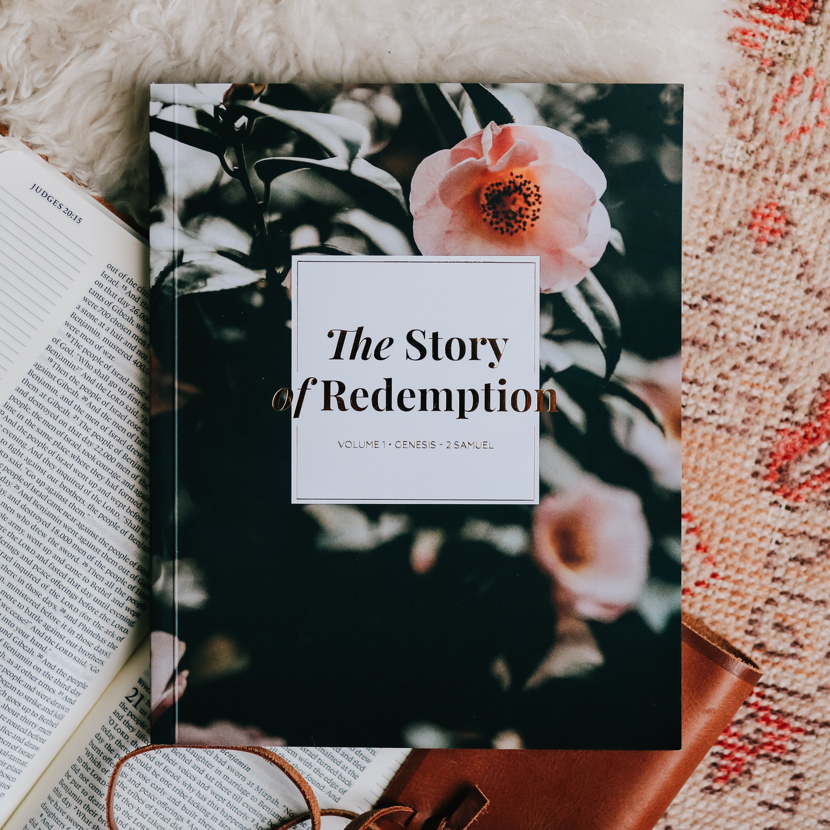 The Story of Redemption Study Bundle – The Daily Grace Co.