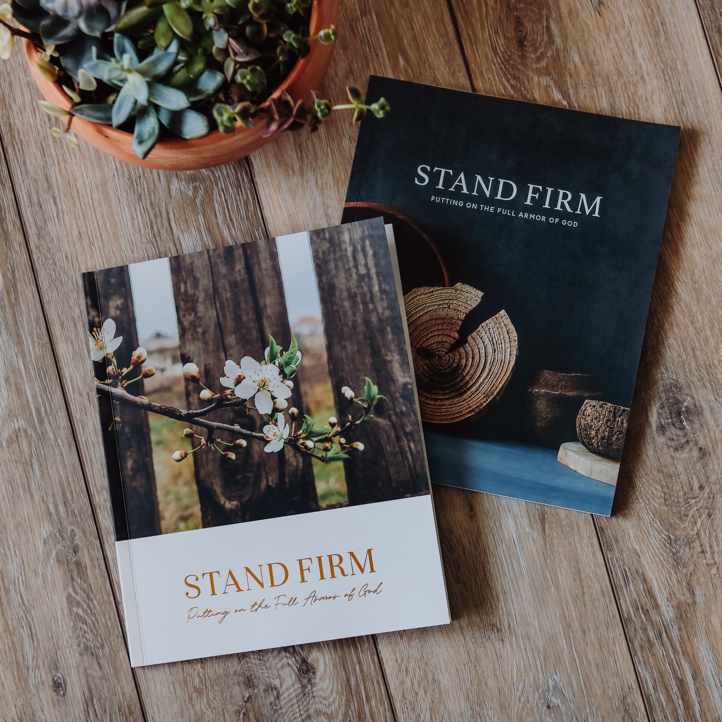 Stand Firm | Armor of God Study - His and Hers Bundle