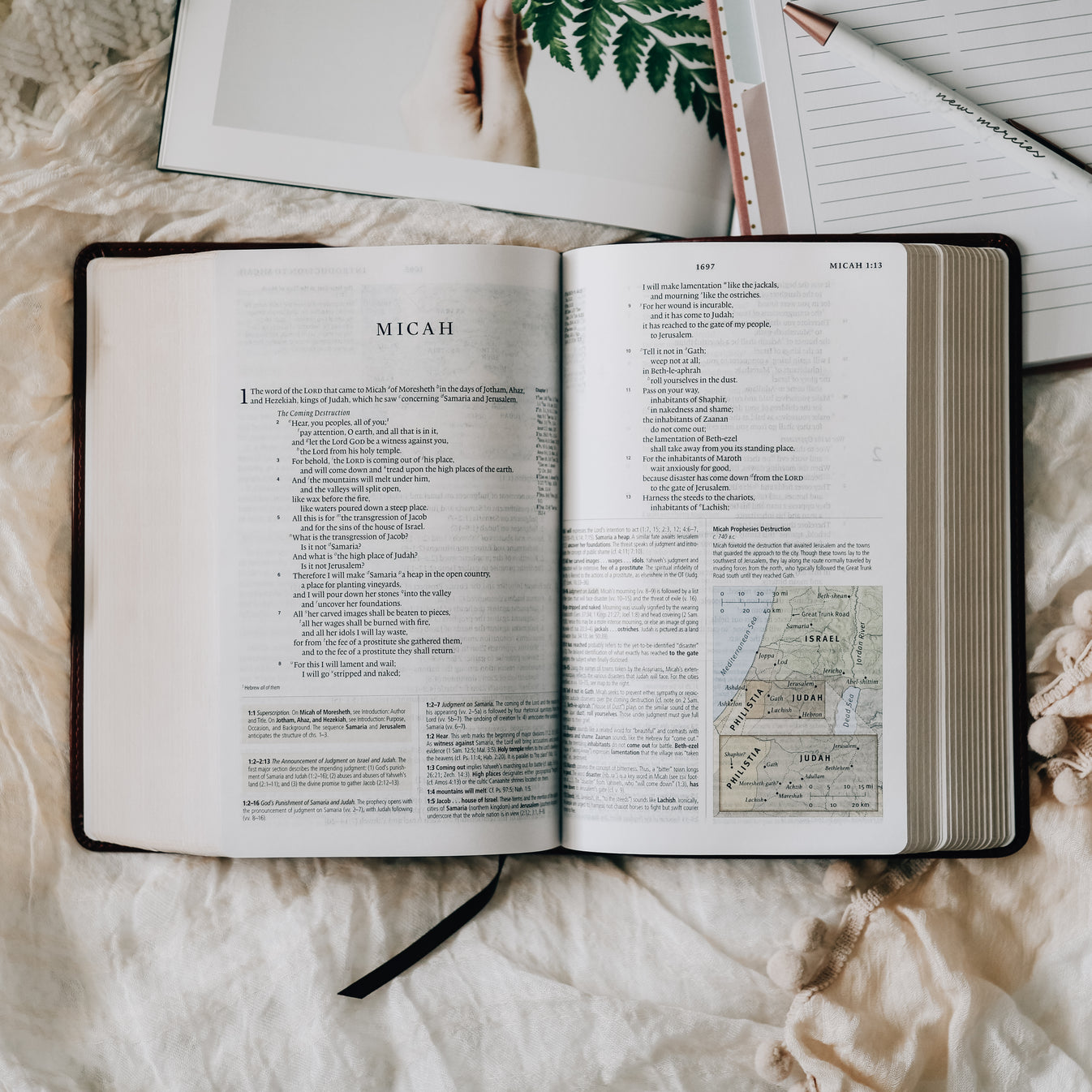 ESV Study Bible Personal Size Ornament Design The Daily Grace Co esv-study-bible-personal-size-ornament-design-the-daily-grace-co