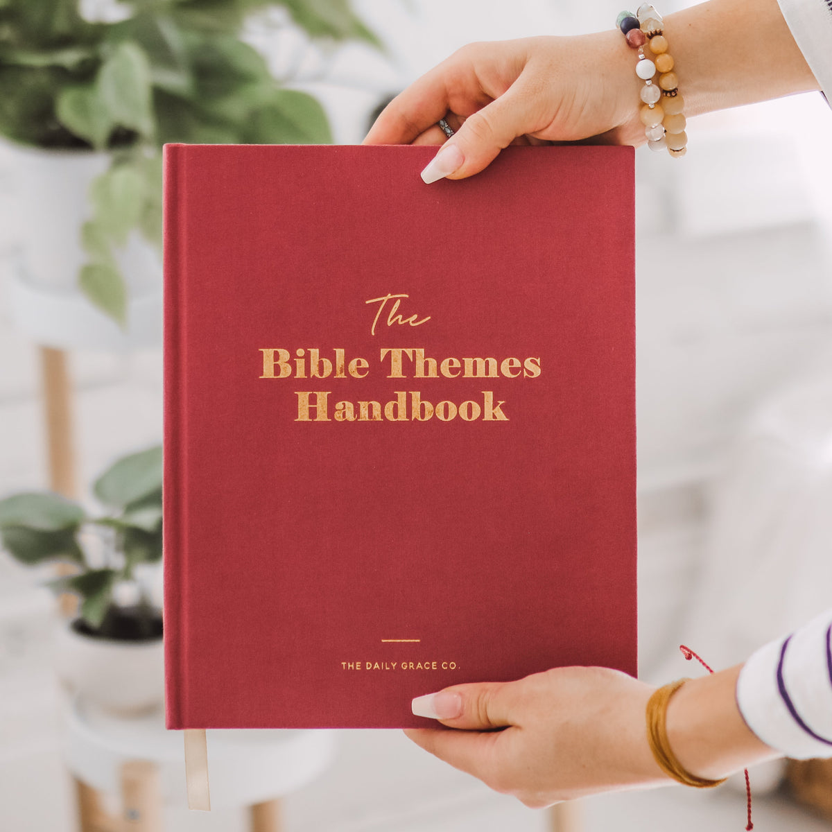 The Bible Themes Handbook | TDGC – The Daily Grace Co.