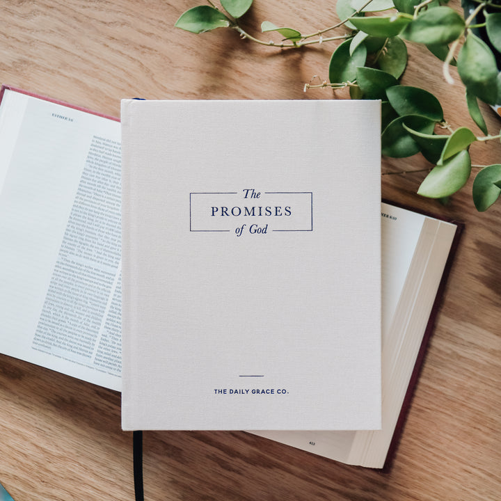 Coffee table book cover on top of Bible next to plant