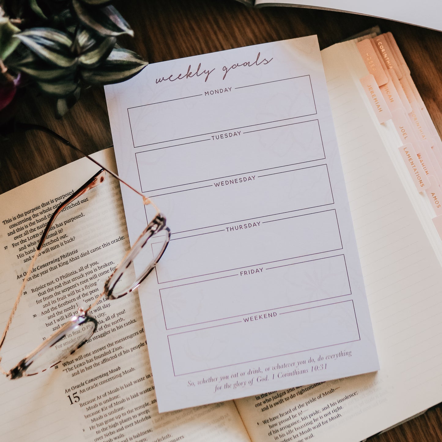 Weekly Goals Notepad - Blush Floral – The Daily Grace Co.